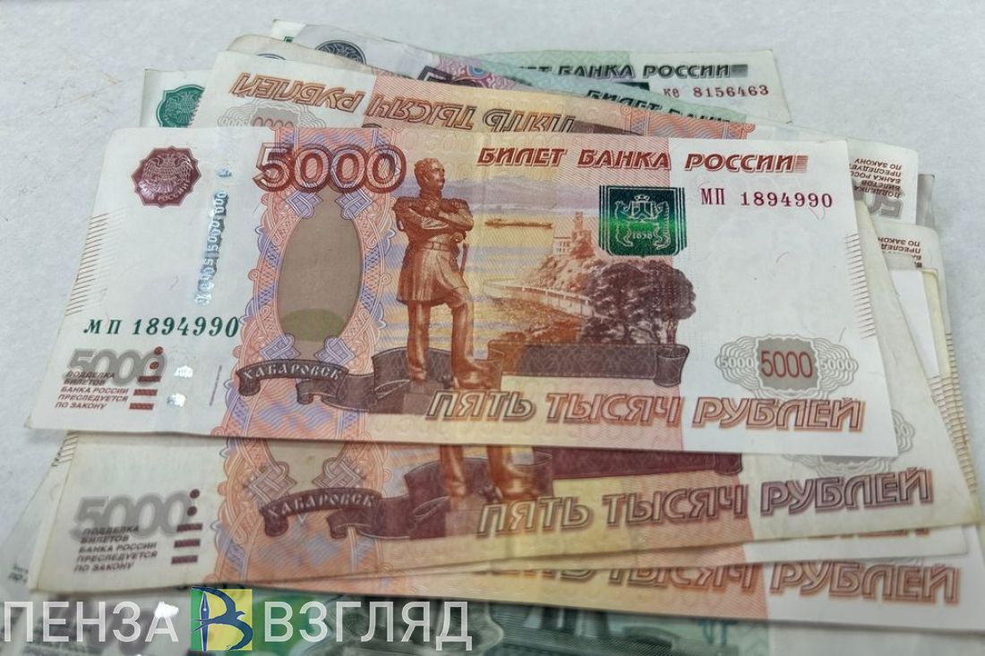 Жителям Пензенской области на ближайшие три года пообещали увеличение зарплат