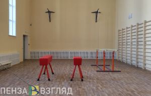Пензенских школьников могут обучать приемам самообороны
