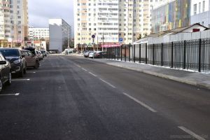 Открытие новой дороги в центре Пензы, смертельное ДТП и появление енотовидных собак — новости Пензы и области за 5 ноября