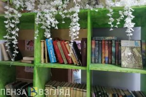 Пензенские библиотеки могут получить дополнительную помощь после просьбы Путина