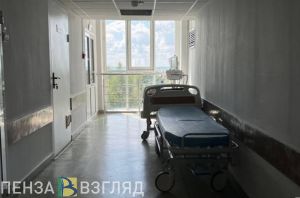Пензенцы ежегодно заражаются ботулизмом: «летние» инфекции и как с ними бороться