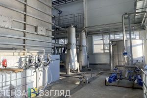 Пензенцы узнали о 5 самых высокооплачиваемых профессиях в стране
