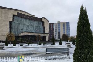 Снег и -2 градуса: какая погода ожидает жителей Пензенской области 15 ноября