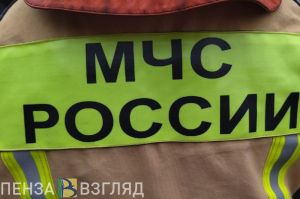 Спасатели ликвидировали последствия ДТП с пострадавшим в Вадинском районе
