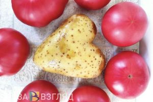 Пензенцам рассказали, как изменятся цены на картошку в ближайшее время