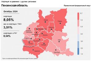 Годовая инфляция в Пензенской области достигла 8,05%