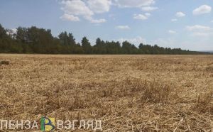 В Пензенской области может появиться агротехнический парк