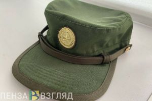 Пензенцам хотят «заморозить» результаты ЕГЭ на период службы в армии