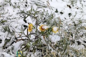 В Городищенском районе игра в снежки закончилась угрозой убийства ребенка