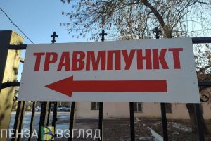 Смерть от падения дерева, первые жертвы гололеда, пензенские достопримечательности на купюрах – новости Пензы и области за 28 ноября