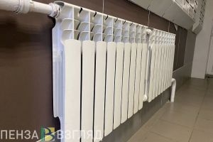Жители Каменского района жалуются на состояние сельского Дома культуры