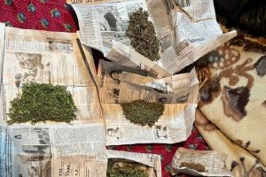У пензенца обнаружили марихуану и коноплю