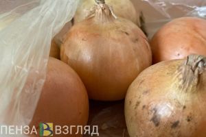 В Пензенской области продукты для новогоднего салата дешевле, чем по всей стране