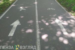 Пензенский спортсмен стал тренером сборной России по экстремальному велоспорту