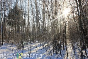 Названы места, где в Пензе можно покататься на лыжах