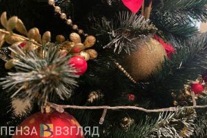 Жителям Сердобского и Земетчинского районов анонсировали новогодние мероприятия