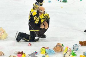 На матче пензенского «Дизеля» прошел мишкопад