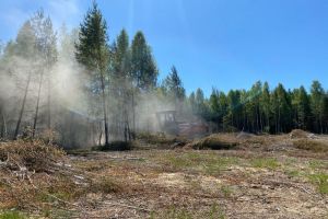 В 2025 году в Пензенской области хотят ввести в севооборот 7,5 тысячи гектаров