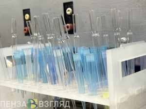 Пензенские ученые могут получить премию 3 миллиона рублей