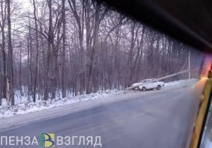 Под Пензой водитель врезался в световую опору