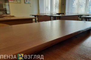 В школах Нижнего Ломова впервые появились земские учителя