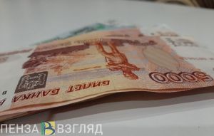 Прожиточный минимум в Пензенской области в 2025 году: сравнение с «соседями»