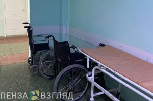 Жители Белинского района с инвалидностью не могли попасть в здания администраций