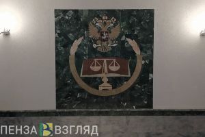Жителю Пензенской области вынесли приговор за поддержку украинской армии