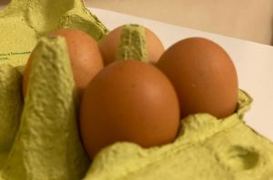 Овсяное печенье из детства – забытый вкус вернет в СССР: выпечка из магазина не идет ни в какое сравнение