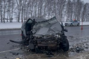 Установлены личности погибших на трассе М-5 в Пензенской области