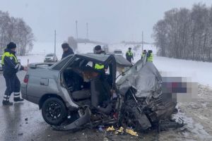 Опубликовано видео с места ДТП с 2 погибшими на трассе М-5 в Пензенской области