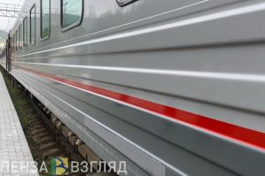 Пассажир поезда в Пензенском районе вонзил нож в живот официантке