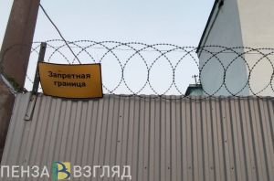 Жительница Лунинского района  сядет в тюрьму за невыплату сыну 260 тыс. рублей