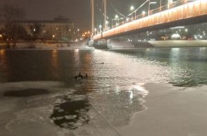 В крещенскую ночь в Пензе спасли тонувшего мужчину