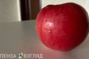 Возле школы №220 в Заречном высадят фруктовые деревья