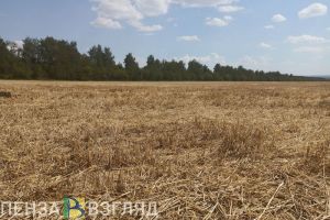 В Каменском районе не хватает специалистов по переработке сельхозпродукции