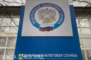 Жителей Пензенской области просят отчитаться о доходах, полученных в 2024 году
