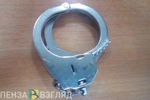 В Пензенской области за год преступность выросла на 4,5%