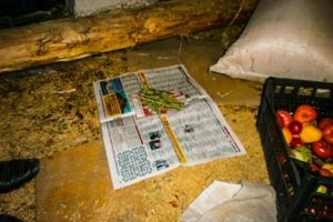 В сарае жителя Колышлейского района нашли марихуану