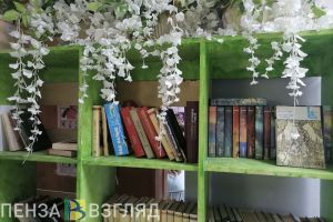 В рамках нацпроекта в Пензе и области модернизировали 11 библиотек
