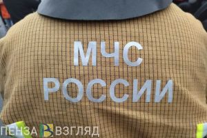 В Пензенском районе сотрудники МЧС помогли девушке, попавшей в аварию