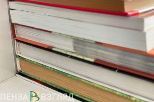 Мельниченко рассказал о создании модельных библиотек в Пензенской области