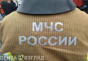 В Сердобском районе из-за поджога сена случился пожар