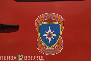 В Пензенской области за неделю из пожаров спасли 3-х детей