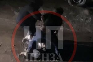 Соцсети: на улице Терновского в Пензе сняли на видео жестокое избиение девушки