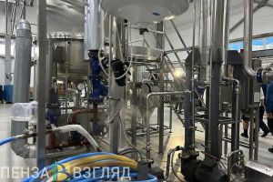 Индустриальный парк «Заря» принесет в бюджет Пензенской области 1,2 млрд рублей