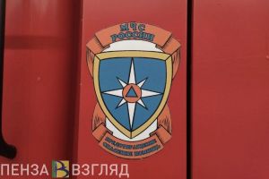 Из горящего дома на улице Дзержинского в Пензе эвакуировали 13 человек