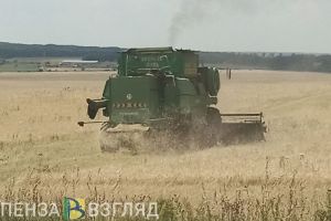 Пензенским аграриям выплатили 100 млн рублей за пострадавшие сельхозкультуры