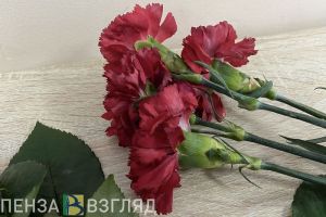 В кузнецкой школе №15 открыли Парту Героя