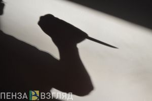 Кузнечанка убила сожителя за избиение кошек